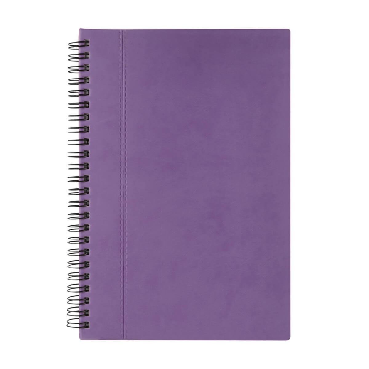 KIT THE AMETHYST AGENDA